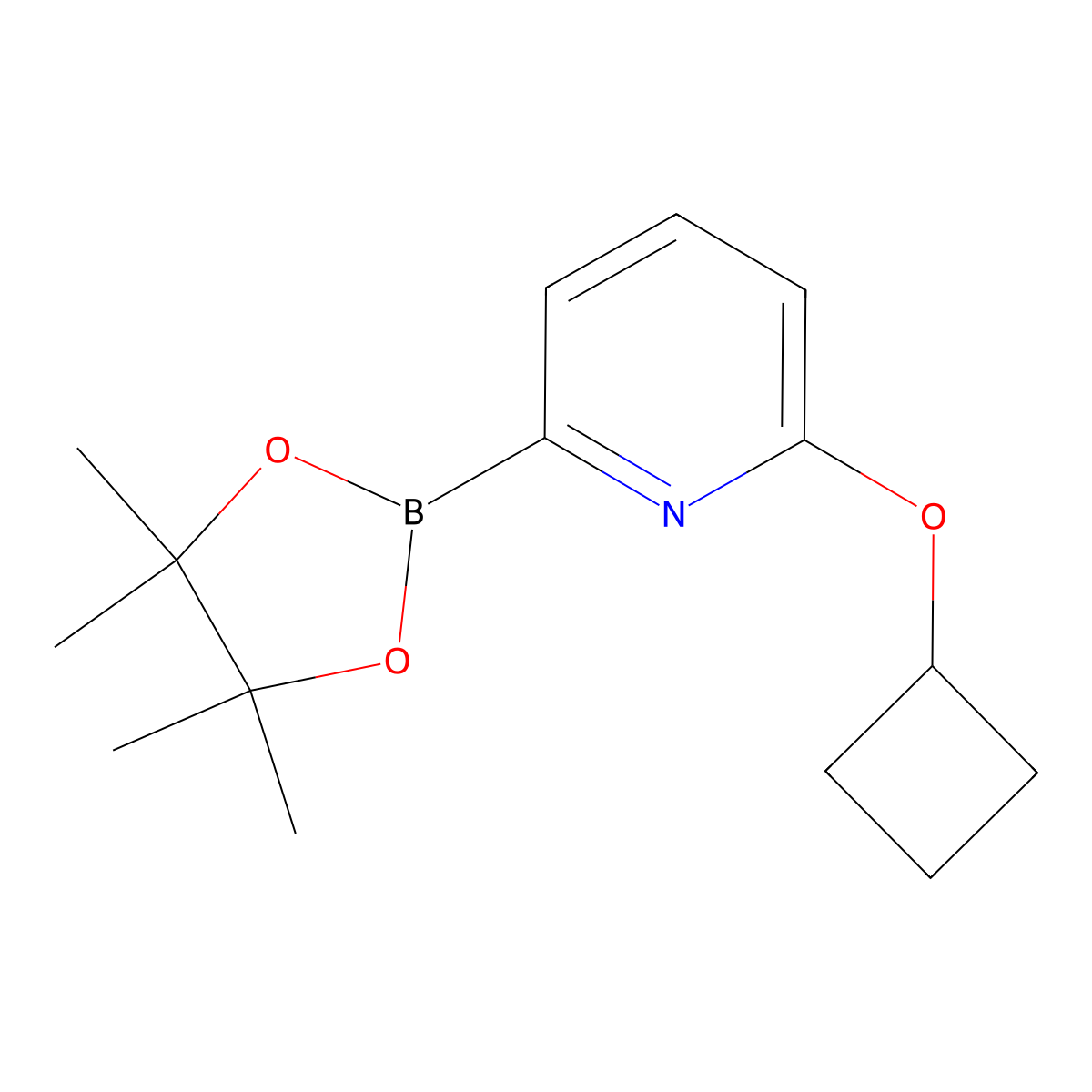 2-Cyclobutoxy-6-(4,4,5,5-tetramethyl-1,3,2-dioxaborolan-2-yl)pyridine molecular structure, CAS 1310404-15-9