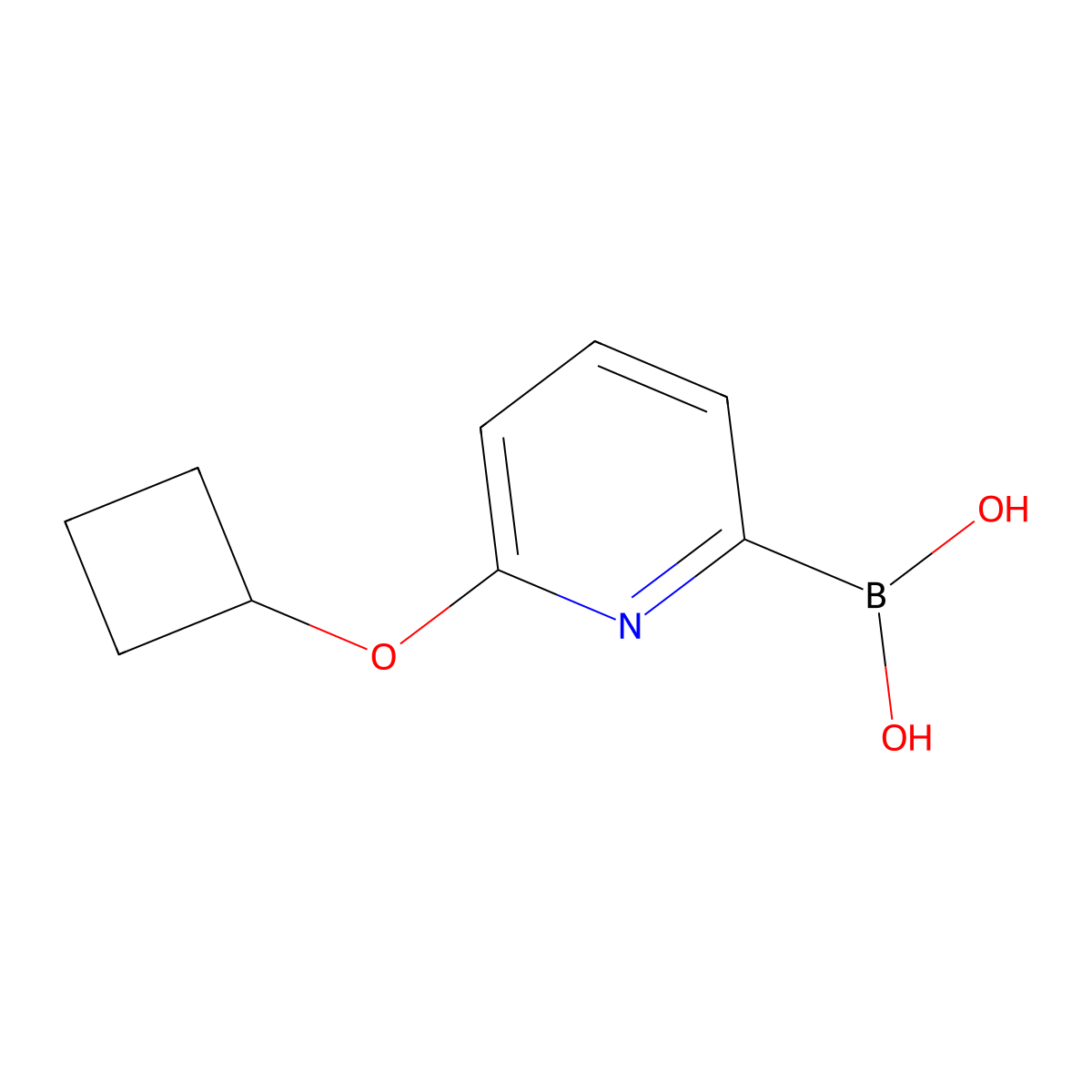 (6-Cyclobutoxypyridin-2-yl)boronic acid molecular structure, CAS 1310404-90-0