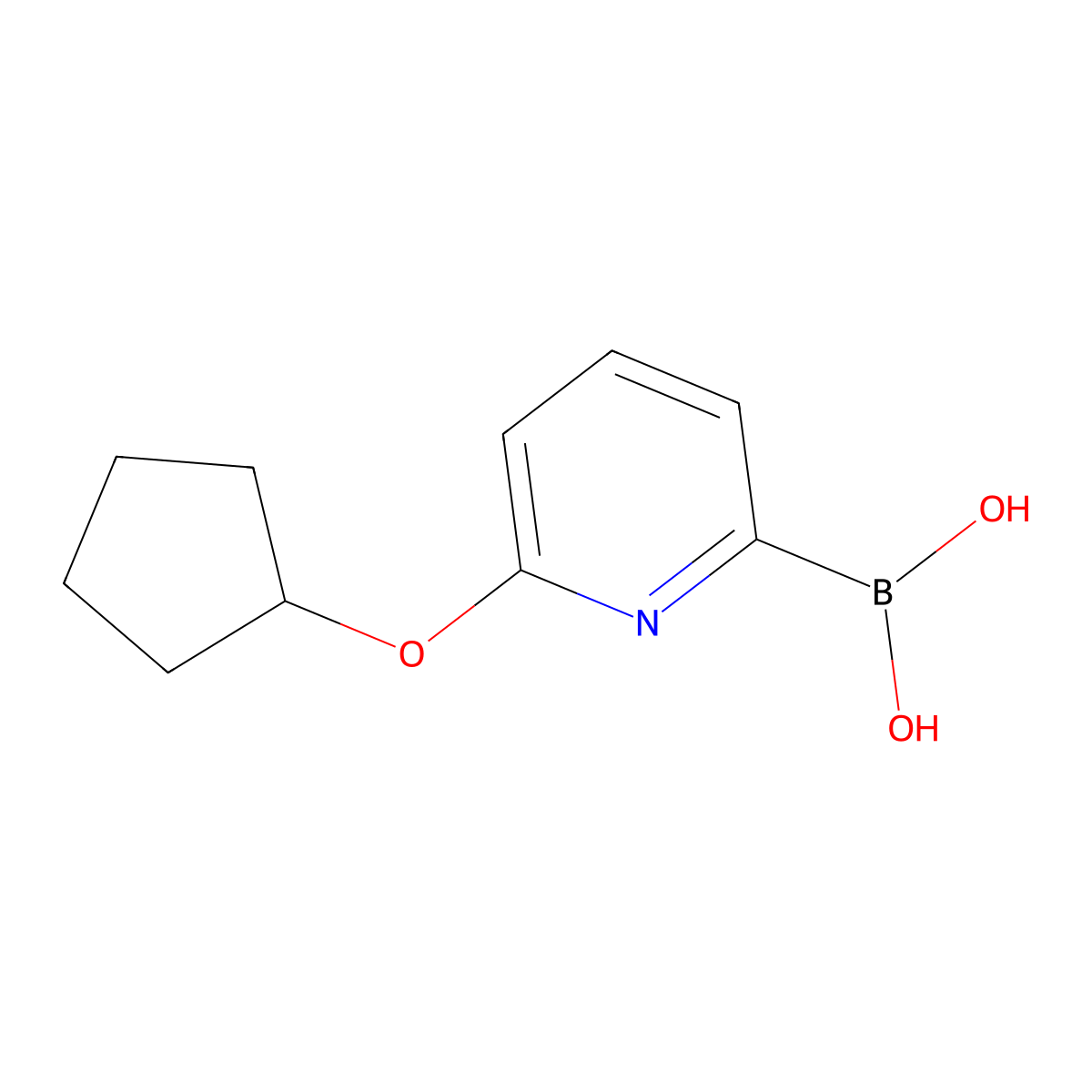 (6-(Cyclopentyloxy)pyridin-2-yl)boronic acid molecular structure, CAS 1310404-91-1