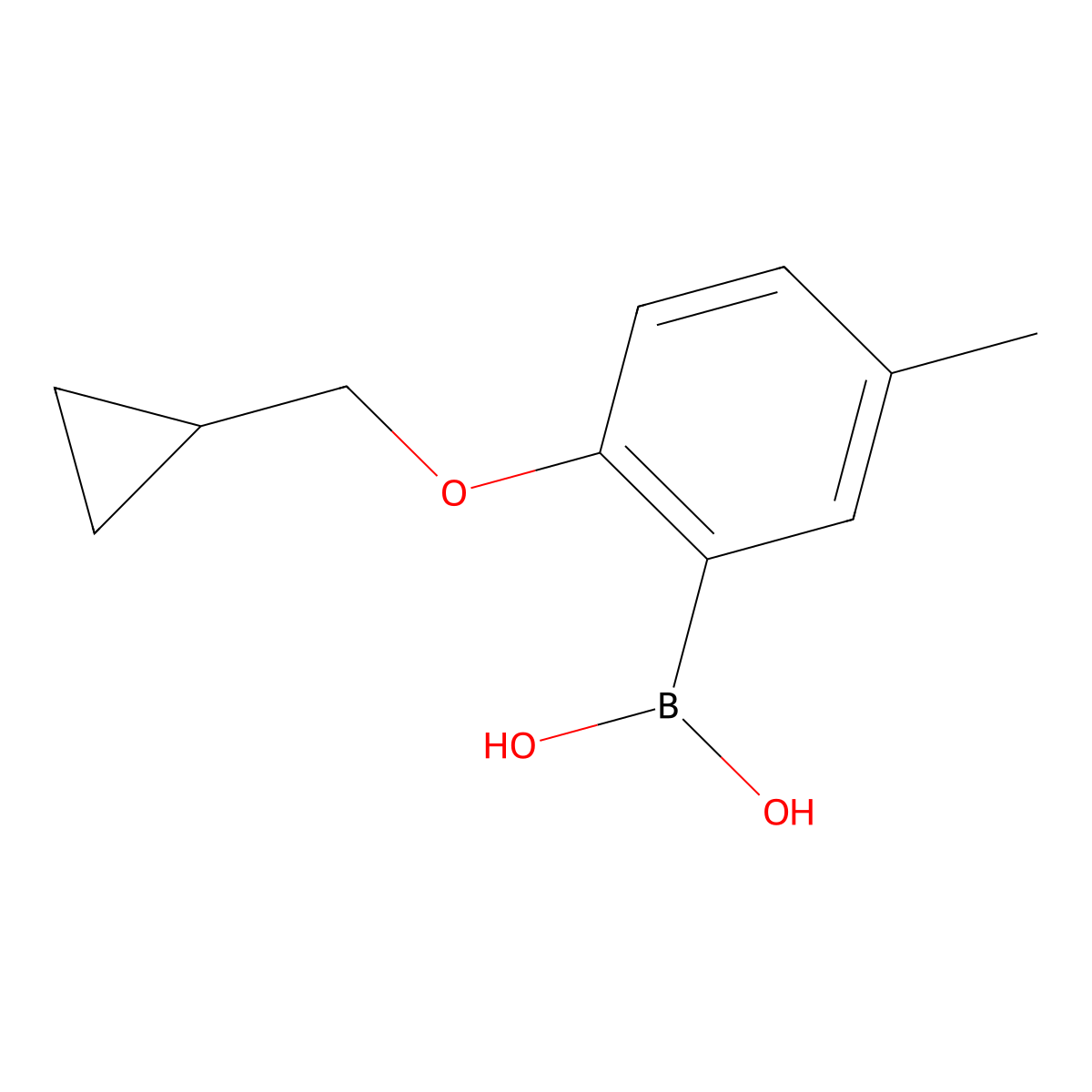 2-(Cyclopropylmethoxy)-5-methylphenylboronic acid molecular structure, CAS 1311183-31-9