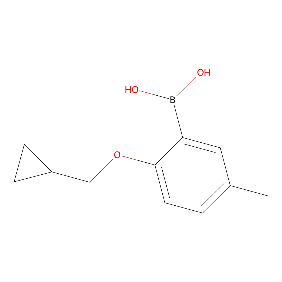 2-(Cyclopropylmethoxy)-5-methylphenylboronic acid molecular structure, CAS 1311183-31-9