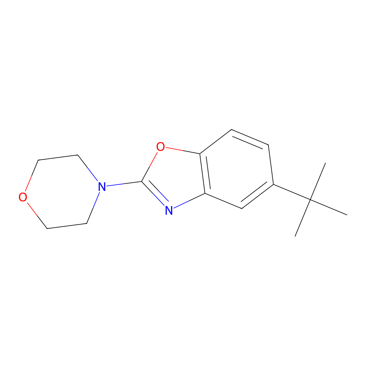 5-(tert-Butyl)-2-morpholinobenzo[d]oxazole molecular structure, CAS 1311275-05-4