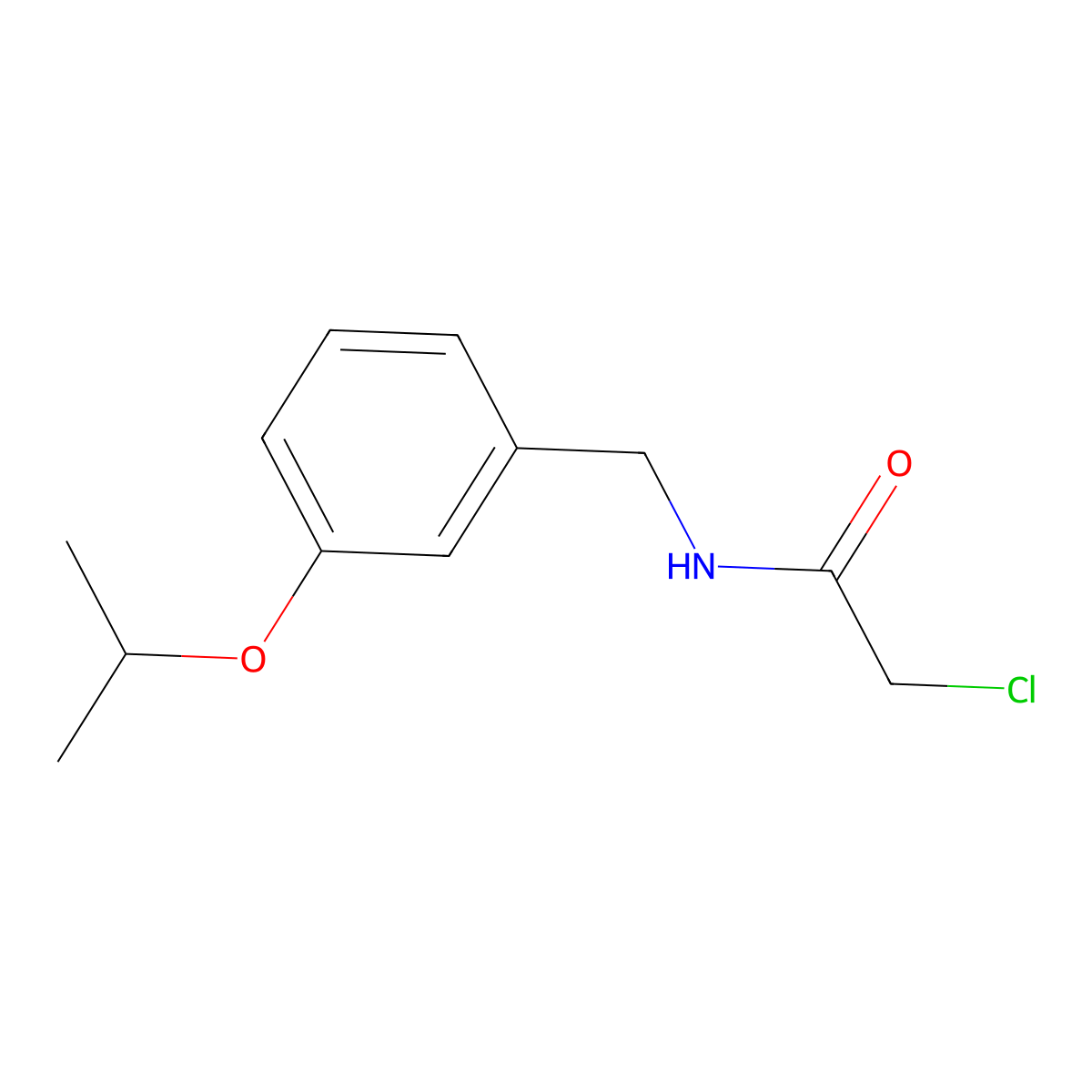 2-chloro-N-{[3-(propan-2-yloxy)phenyl]methyl}acetamide molecular structure, CAS 1311314-04-1