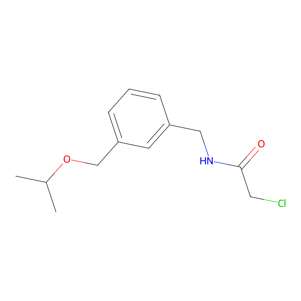2-chloro-N-({3-[(propan-2-yloxy)methyl]phenyl}methyl)acetamide molecular structure, CAS 1311314-65-4