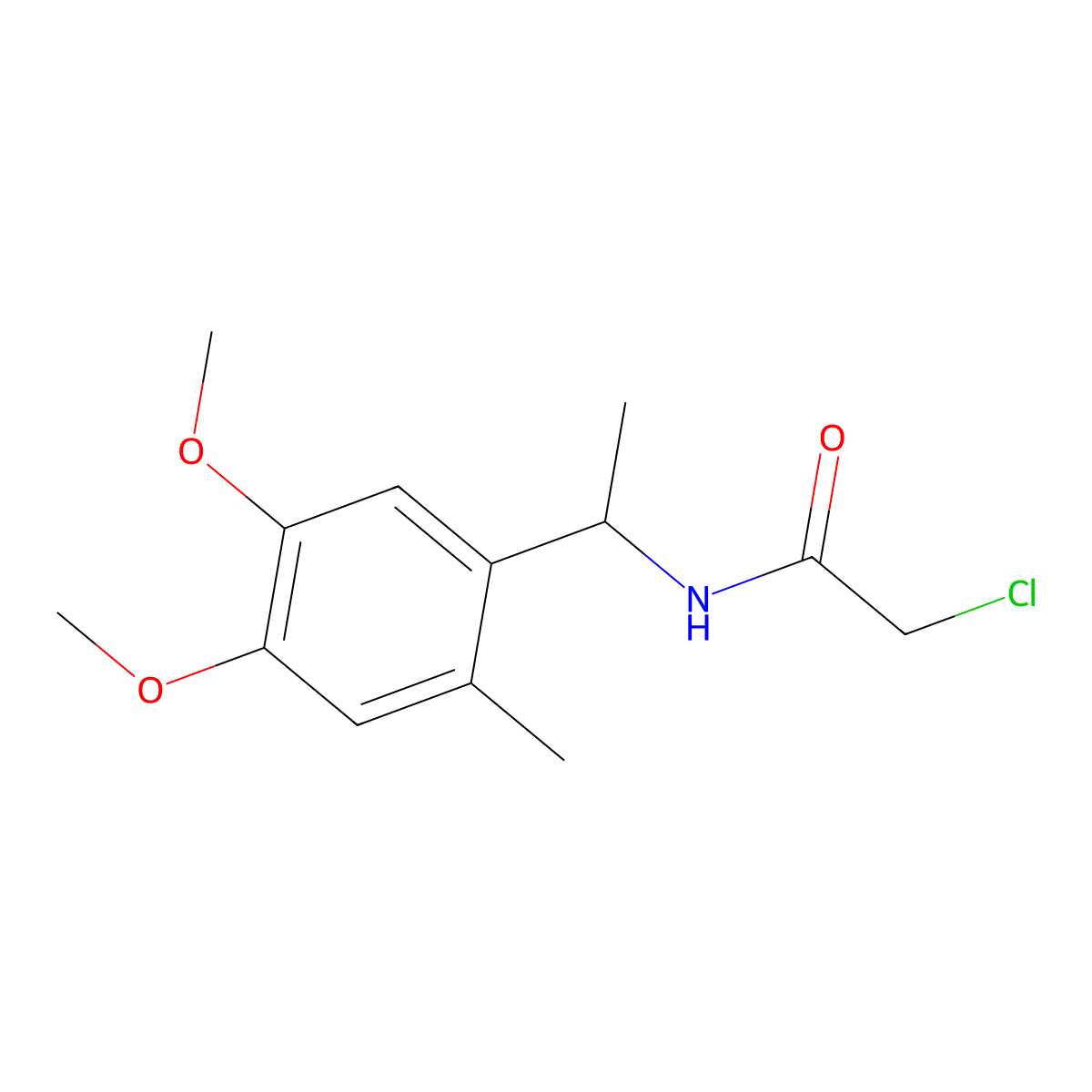 2-chloro-N-[1-(4,5-dimethoxy-2-methylphenyl)ethyl]acetamide molecular structure, CAS 1311314-77-8