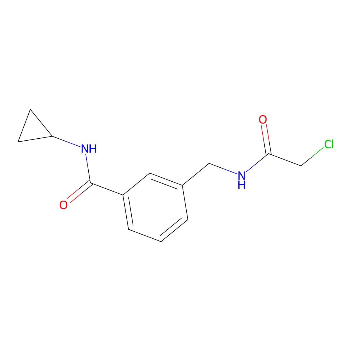 3-[(2-chloroacetamido)methyl]-N-cyclopropylbenzamide molecular structure, CAS 1311317-71-1
