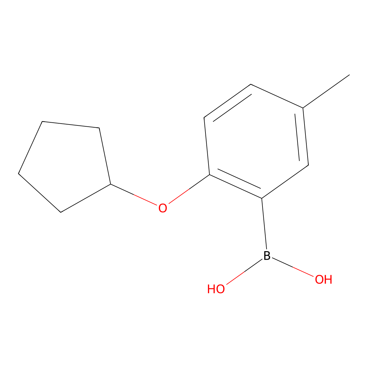 [2-(Cyclopentyloxy)-5-methylphenyl]boronic acid molecular structure, CAS 1313760-64-3