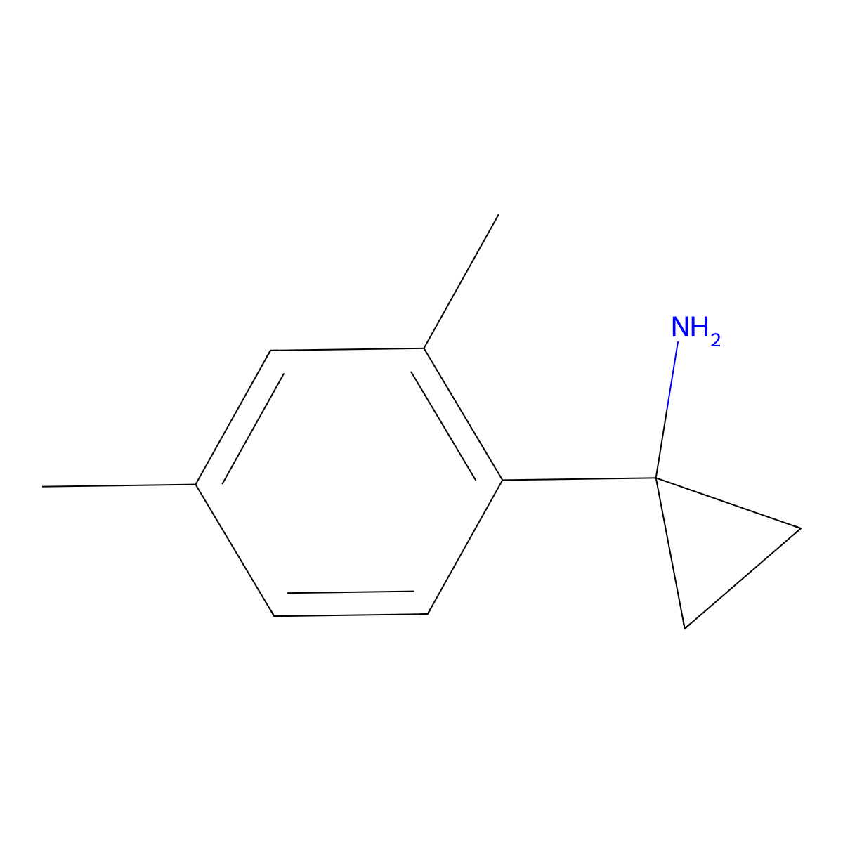 1-(2,4-Dimethylphenyl)cyclopropan-1-amine molecular structure, CAS 1314712-03-2
