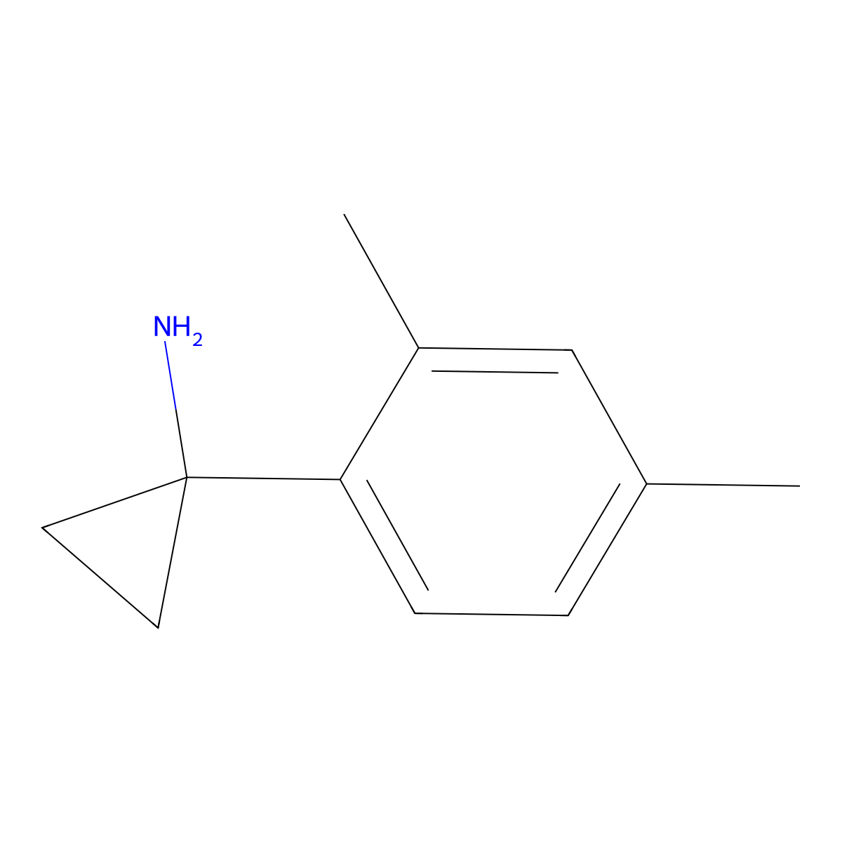 1-(2,4-Dimethylphenyl)cyclopropan-1-amine molecular structure, CAS 1314712-03-2