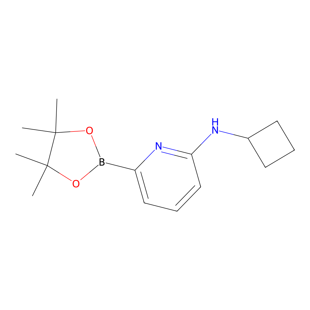 N-Cyclobutyl-6-(4,4,5,5-tetramethyl-1,3,2-dioxaborolan-2-yl)pyridin-2-amine molecular structure, CAS 1315350-34-5