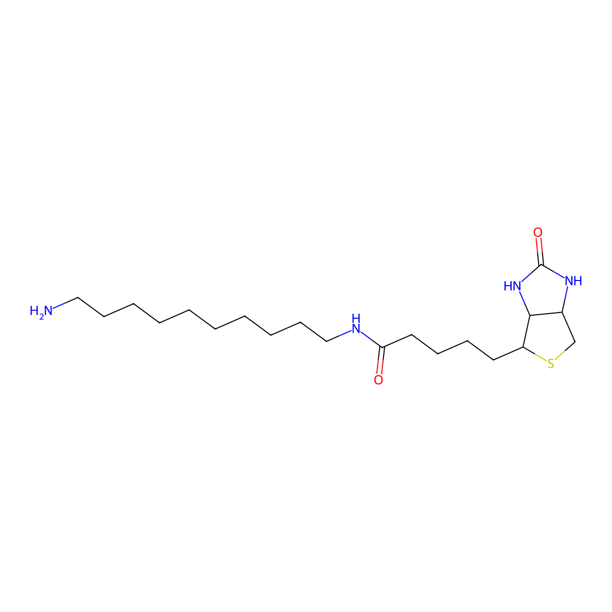 N-(10-Aminodecyl)-5-((3aS,4S,6aR)-2-oxohexahydro-1H-thieno[3,4-d]imidazol-4-yl)pentanamide molecular structure, CAS 131699-07-5