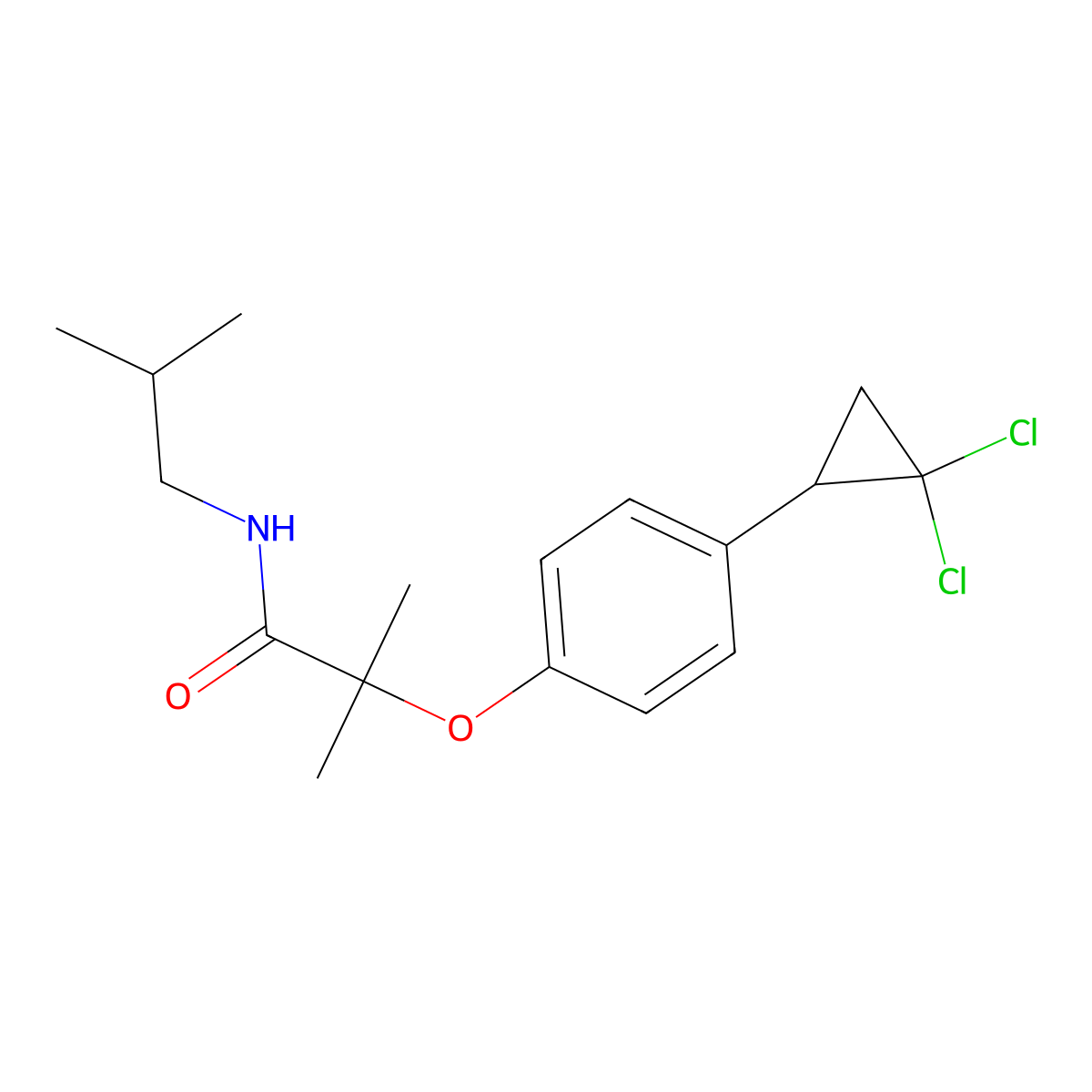 2-[4-(2,2-dichlorocyclopropyl)phenoxy]-2-methyl-N-(2-methylpropyl)propanamide molecular structure, CAS 1324097-73-5