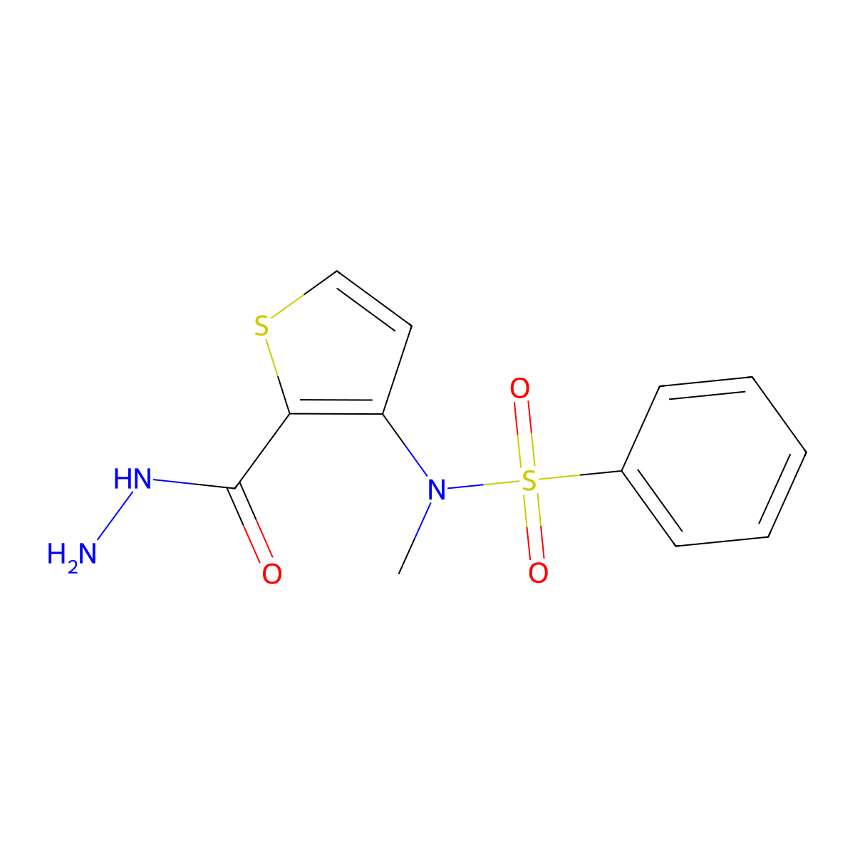 N-[2-(hydrazinocarbonyl)-3-thienyl]-N-methylbenzenesulfonamide molecular structure, CAS 1325305-55-2