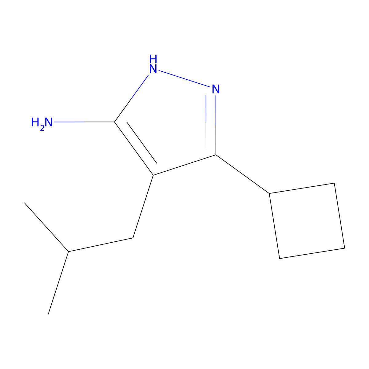 3-Cyclobutyl-4-(2-methylpropyl)-1H-pyrazol-5-amine molecular structure, CAS 1329116-04-2