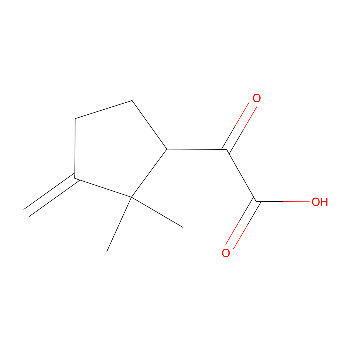 (2,2-Dimethyl-3-methylenecyclopentyl)oxoacetic acid molecular structure, CAS 1330755-17-3