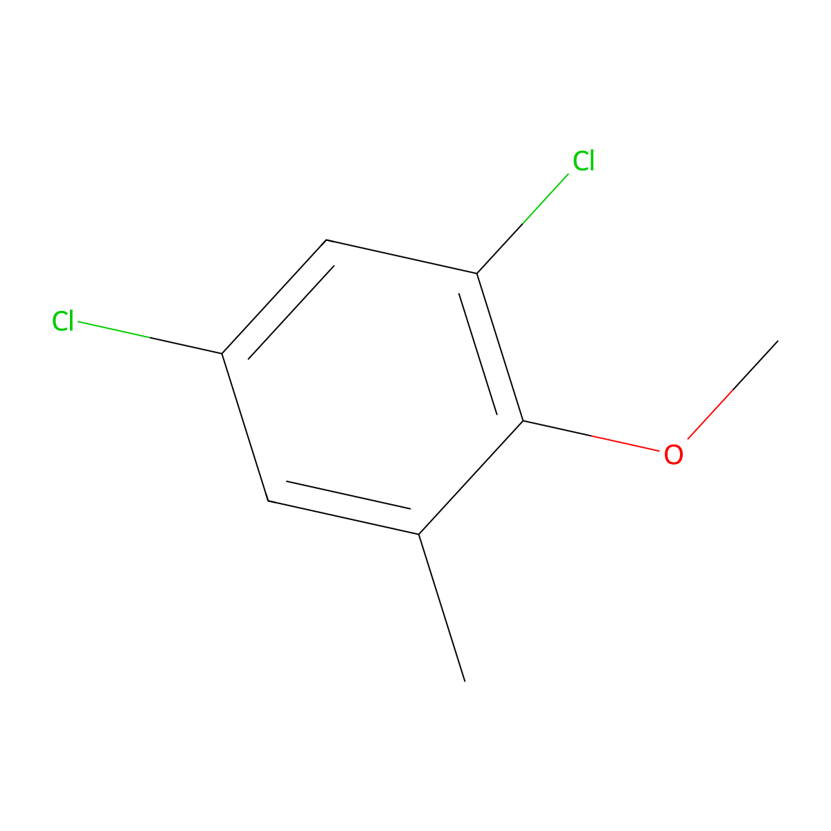 1,5-Dichloro-2-methoxy-3-methylbenzene molecular structure, CAS 13334-73-1