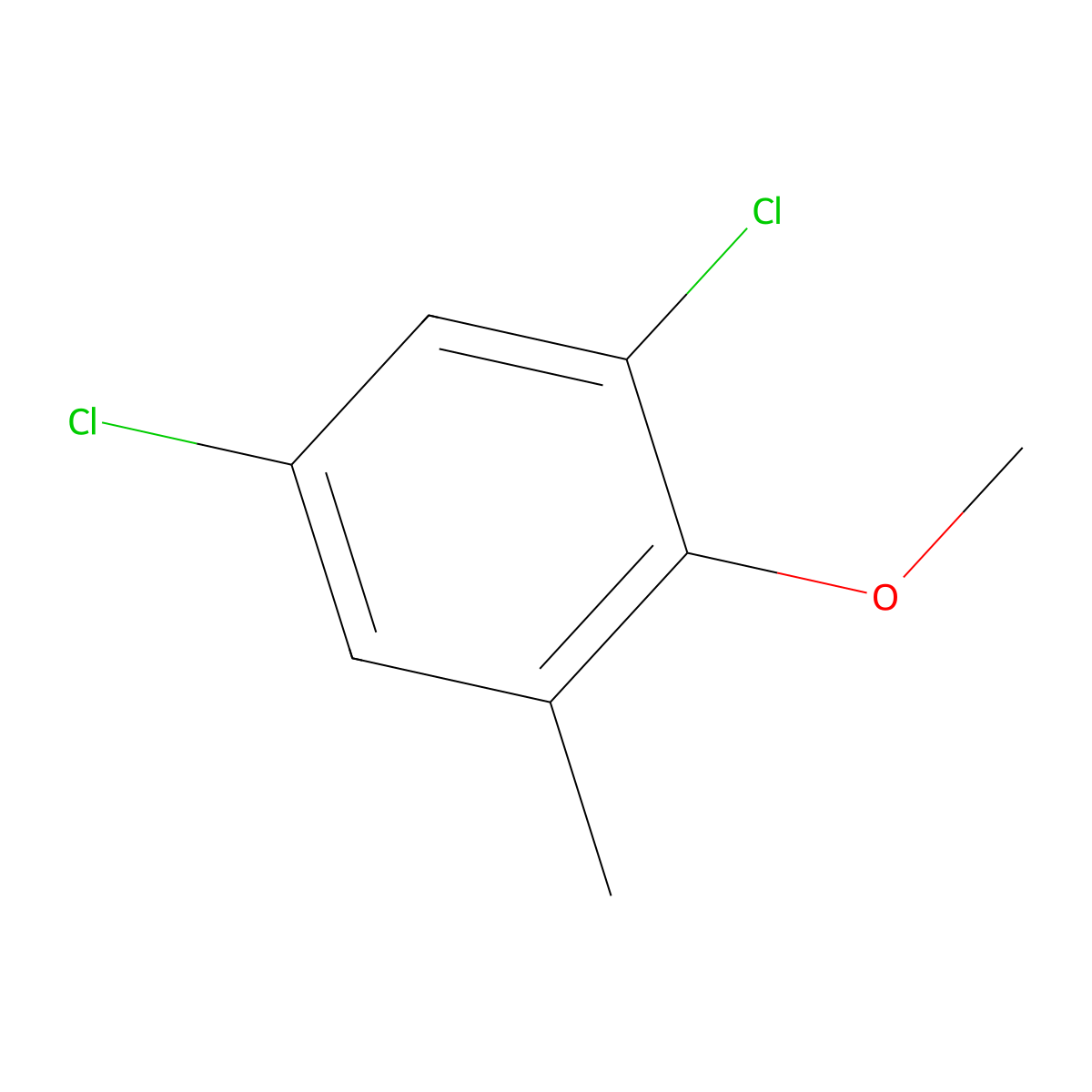 1,5-Dichloro-2-methoxy-3-methylbenzene molecular structure, CAS 13334-73-1