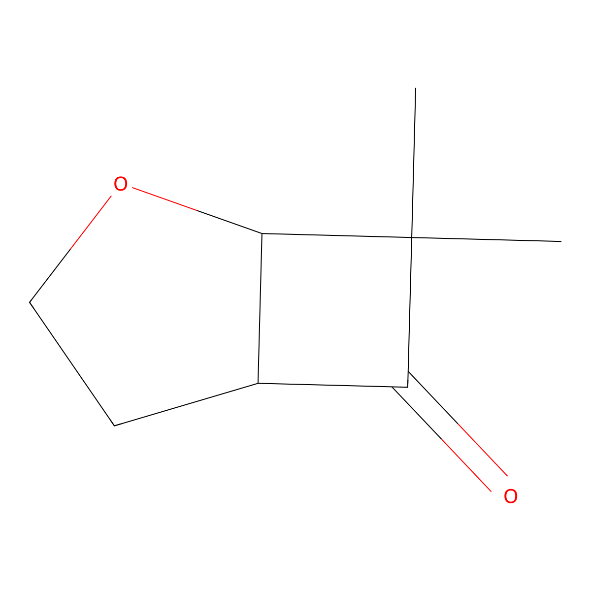 7,7-Dimethyl-2-oxabicyclo[3.2.0]heptan-6-one molecular structure, CAS 1333624-89-7