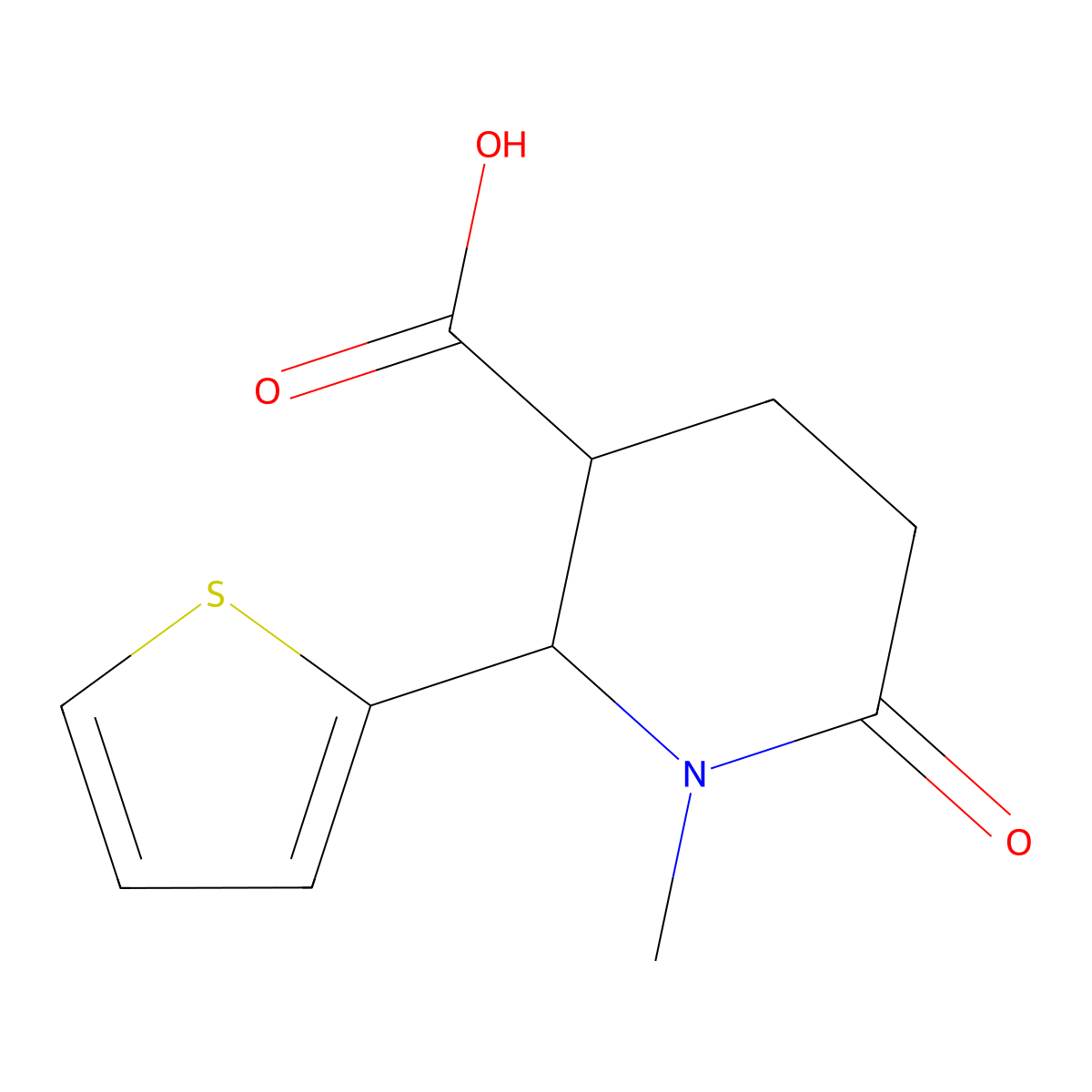1-Methyl-6-oxo-2-(thiophen-2-yl)piperidine-3-carboxylic acid molecular structure, CAS 1334148-77-4