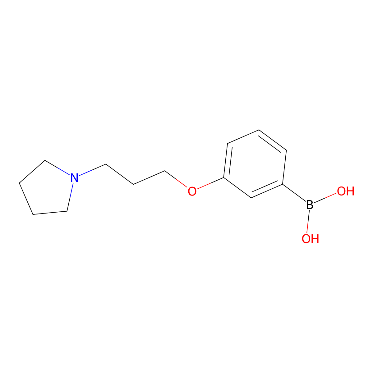 (3-(3-(Pyrrolidin-1-yl)propoxy)phenyl)boronic acid molecular structure, CAS 1334216-21-5