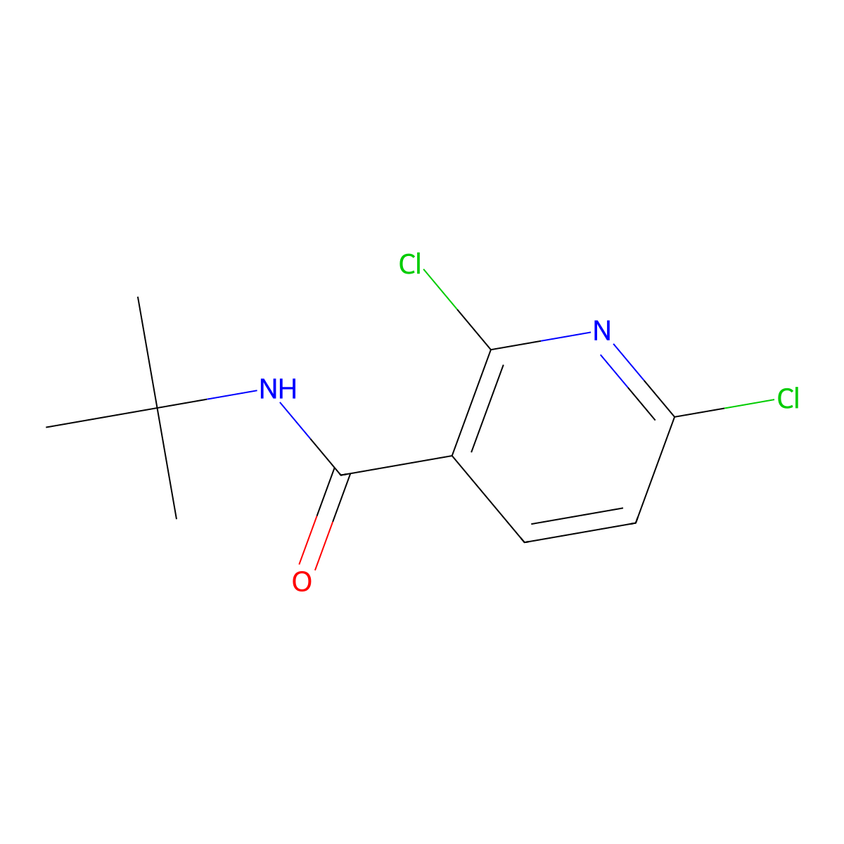 N-(tert-butyl)-2,6-dichloronicotinamide molecular structure, CAS 1334612-24-6