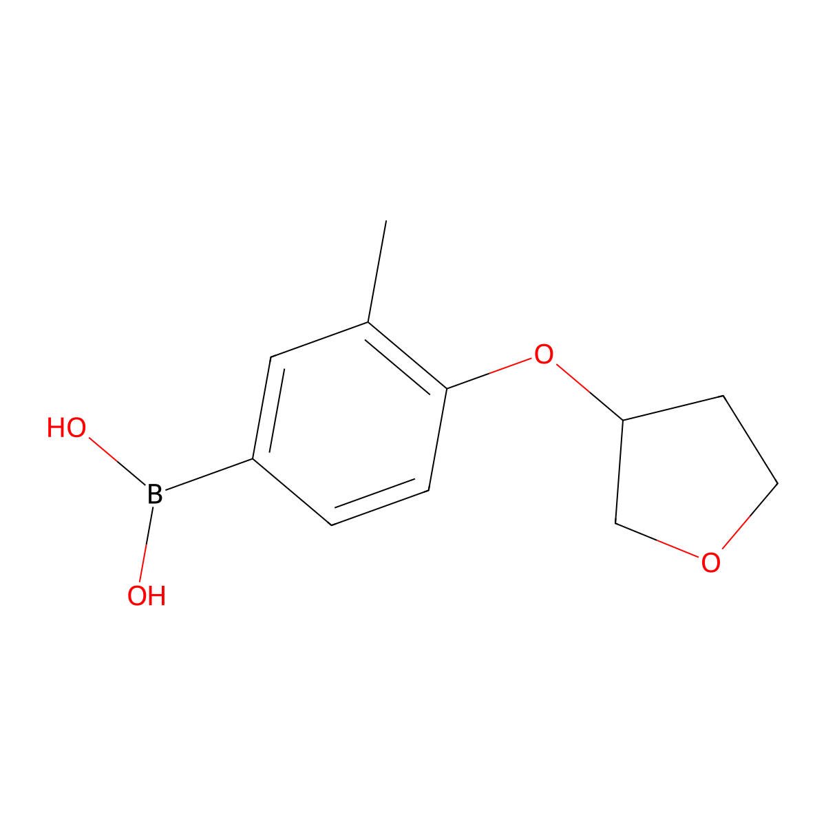 [3-Methyl-4-(oxolan-3-yloxy)phenyl]boronic acid molecular structure, CAS 1335234-29-1