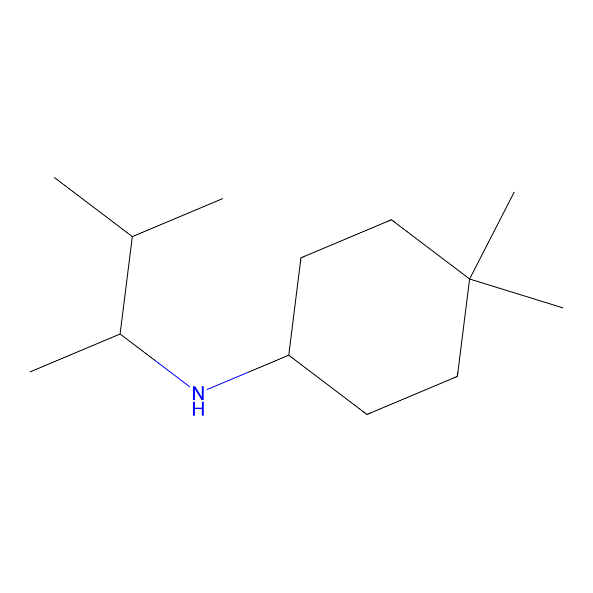 4,4-dimethyl-N-(3-methylbutan-2-yl)cyclohexan-1-amine molecular structure, CAS 1339172-94-9