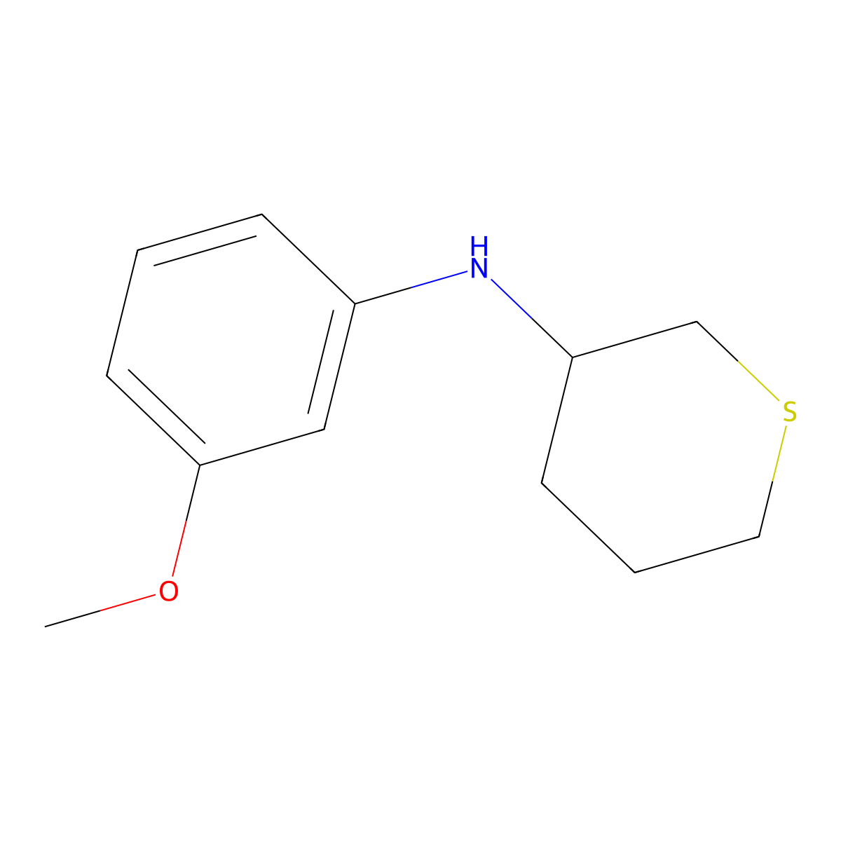 N-(3-methoxyphenyl)thian-3-amine molecular structure, CAS 1339202-35-5