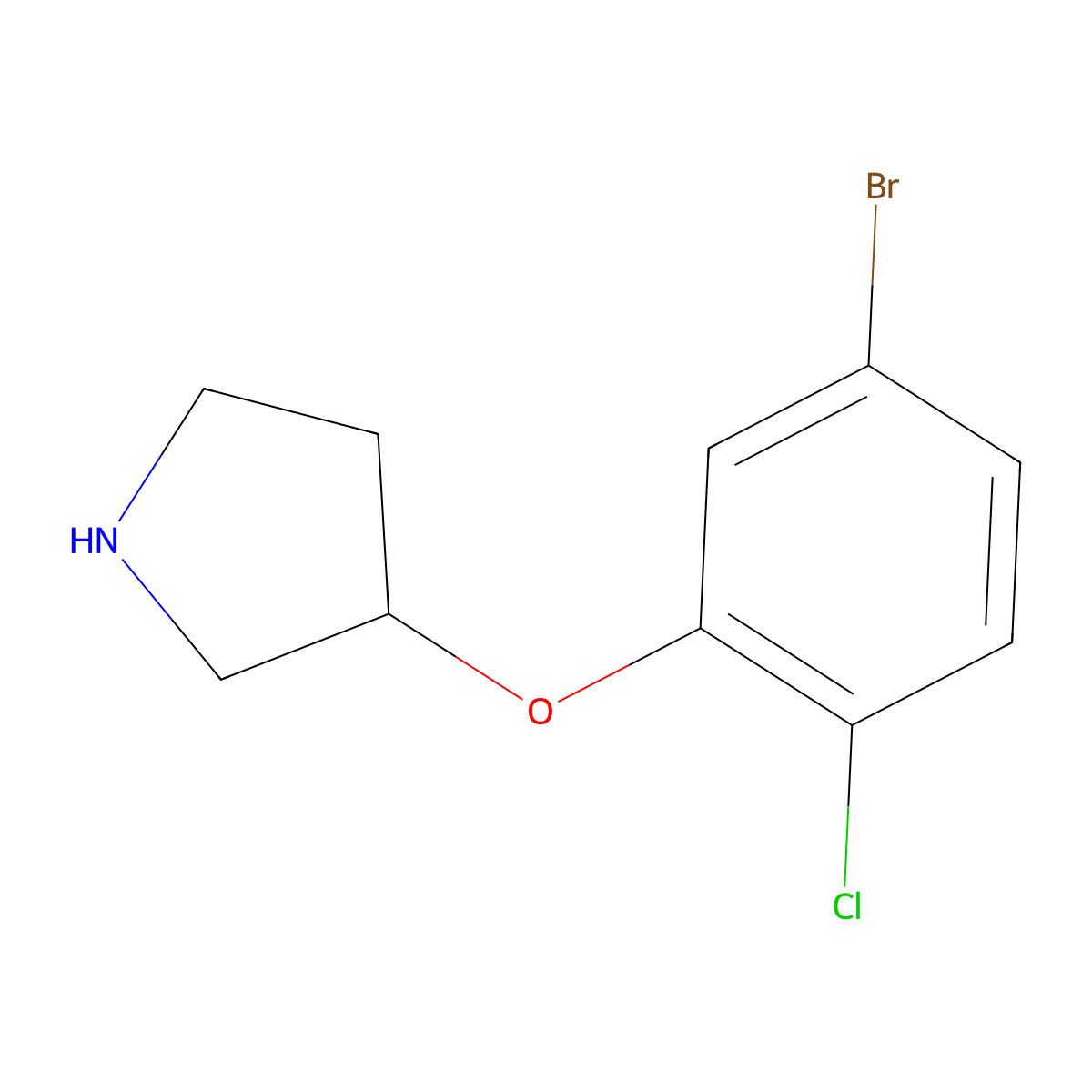 3-(5-Bromo-2-chlorophenoxy)pyrrolidine molecular structure, CAS 1339344-04-5