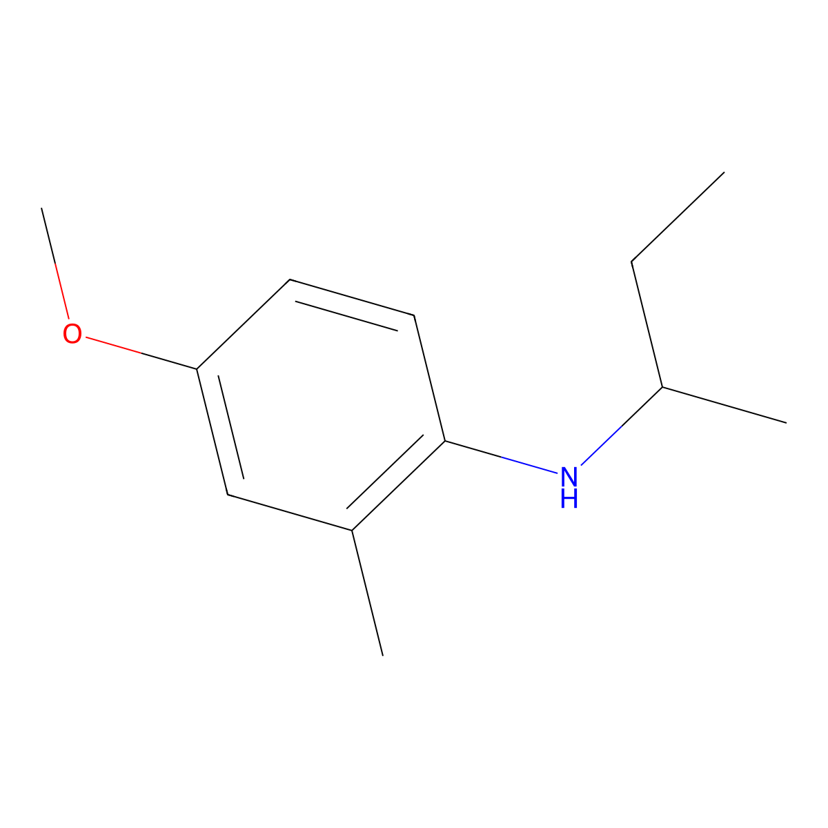 N-(butan-2-yl)-4-methoxy-2-methylaniline molecular structure, CAS 1339466-89-5