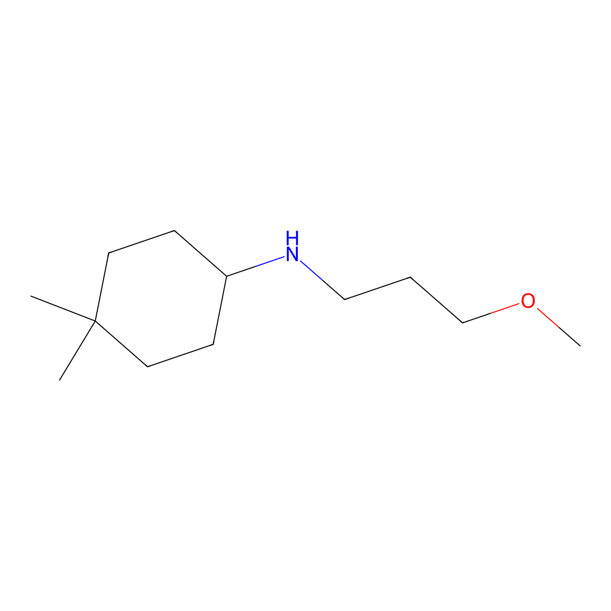 N-(3-methoxypropyl)-4,4-dimethylcyclohexan-1-amine molecular structure, CAS 1339515-66-0