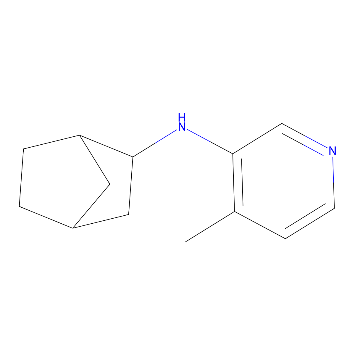 N-{bicyclo[2.2.1]heptan-2-yl}-4-methylpyridin-3-amine molecular structure, CAS 1339589-76-2