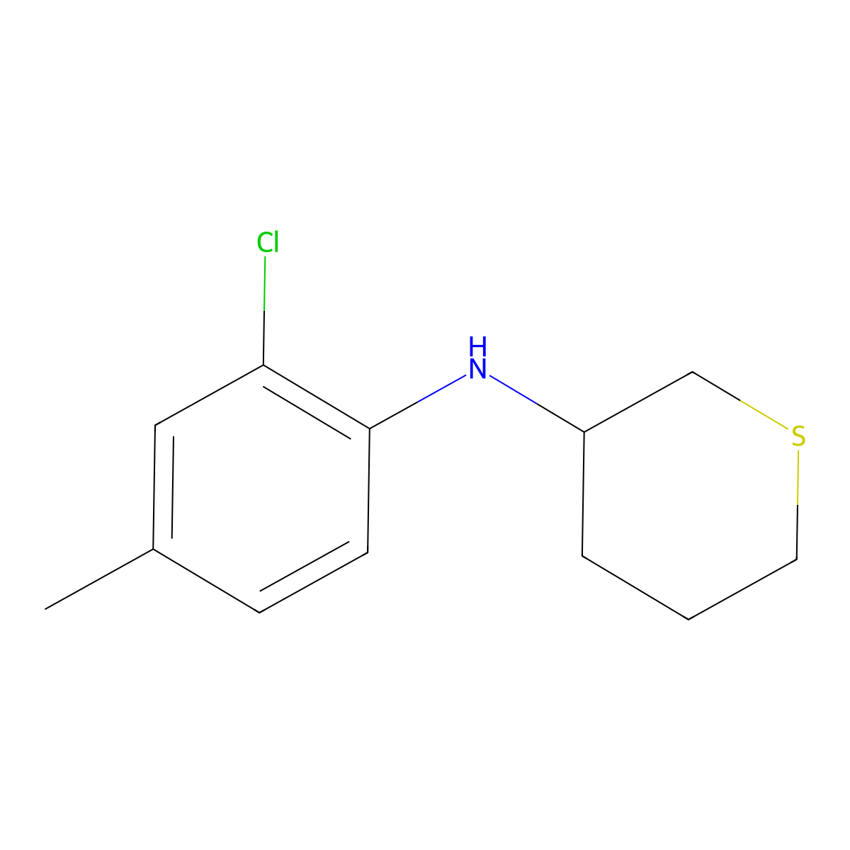 N-(2-chloro-4-methylphenyl)thian-3-amine molecular structure, CAS 1339705-72-4