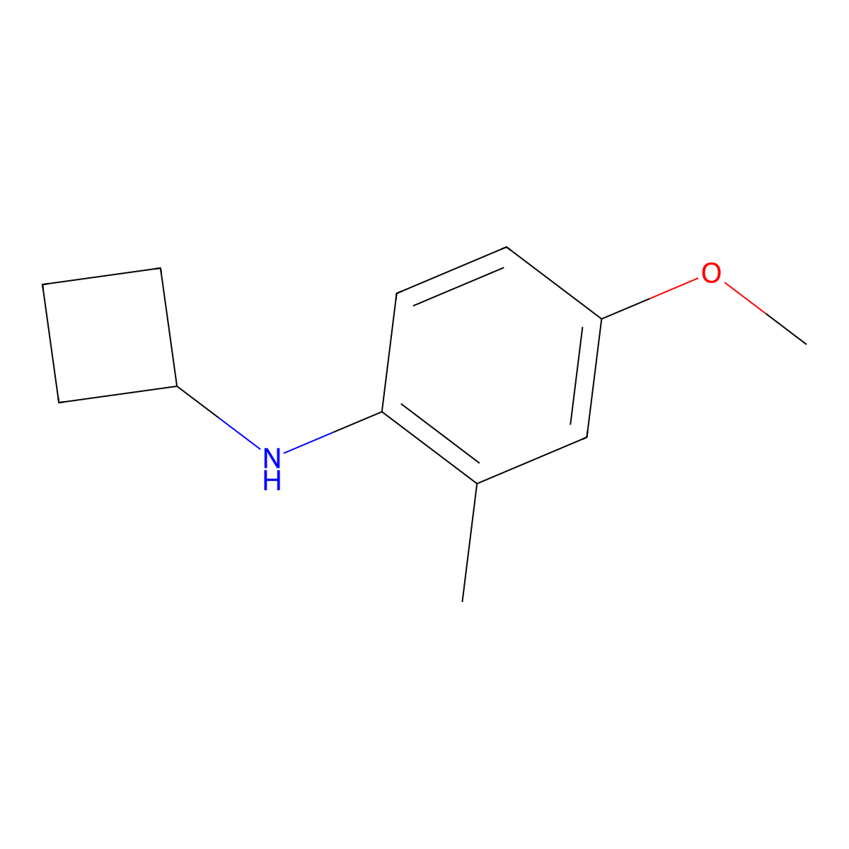 N-cyclobutyl-4-methoxy-2-methylaniline molecular structure, CAS 1339716-37-8