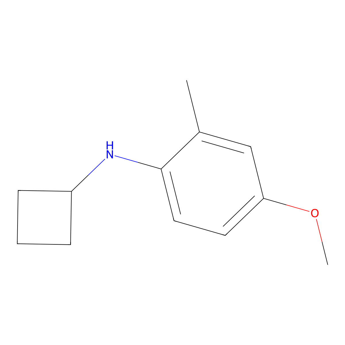 N-cyclobutyl-4-methoxy-2-methylaniline molecular structure, CAS 1339716-37-8