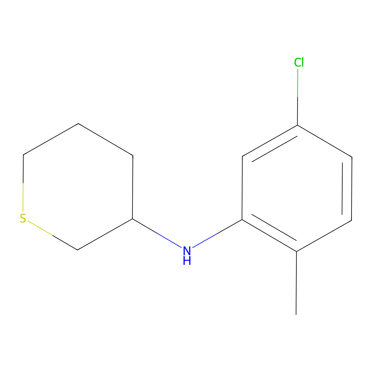 N-(5-chloro-2-methylphenyl)thian-3-amine molecular structure, CAS 1340076-65-4