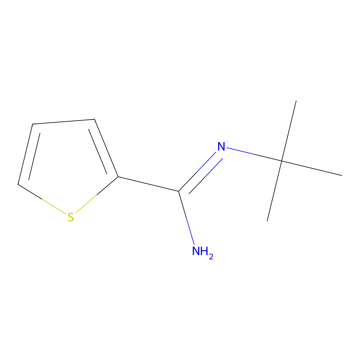 N-tert-Butylthiophene-2-carboximidamide molecular structure, CAS 1340148-56-2