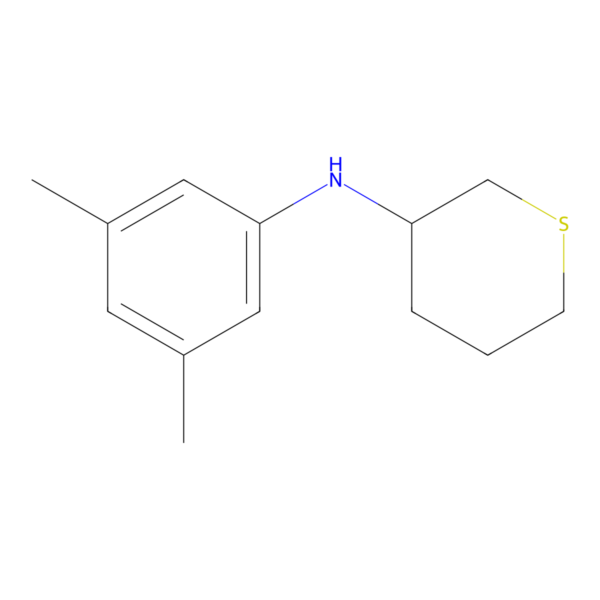 N-(3,5-dimethylphenyl)thian-3-amine molecular structure, CAS 1340170-85-5