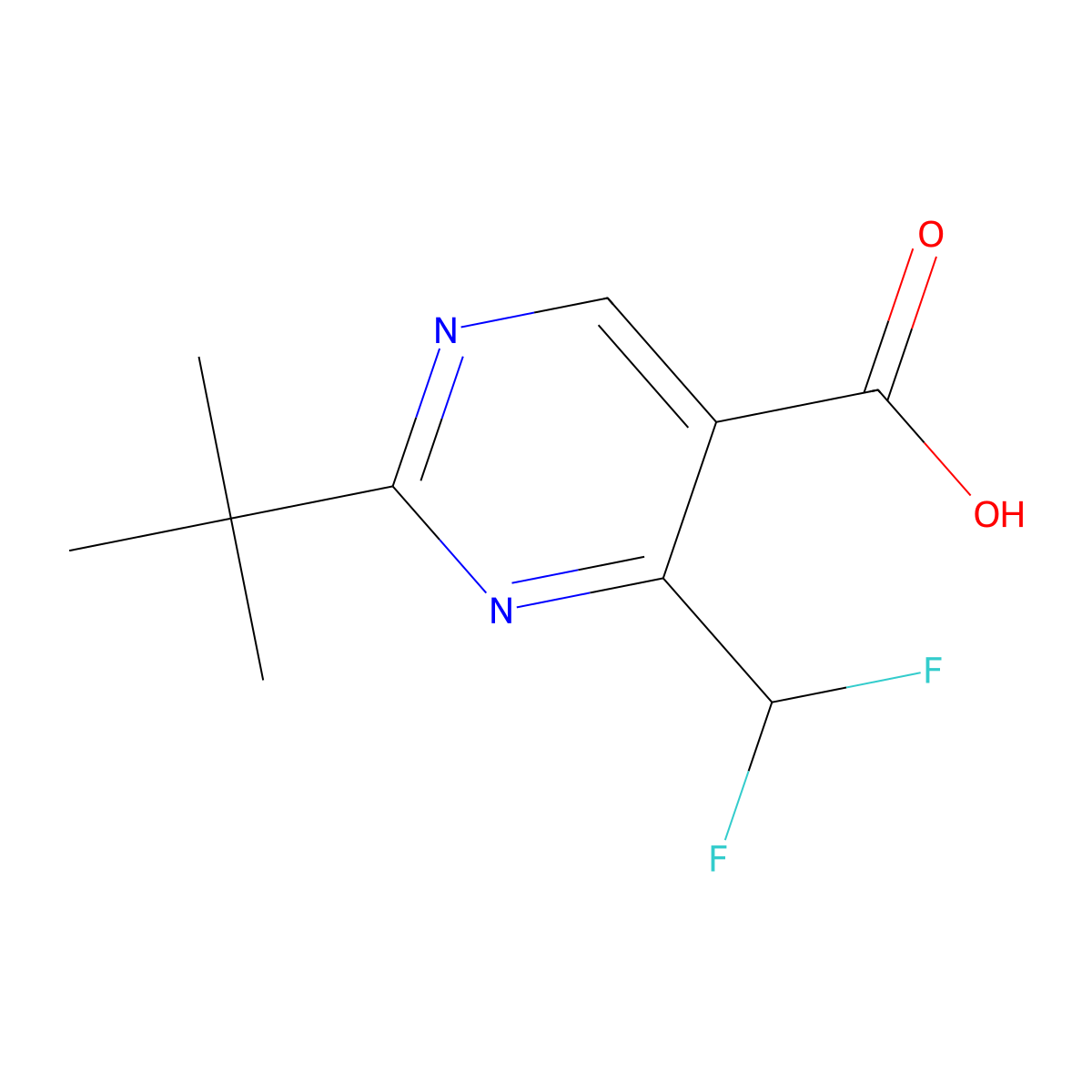 2-Tert-butyl-4-(difluoromethyl)pyrimidine-5-carboxylic acid molecular structure, CAS 1340367-77-2
