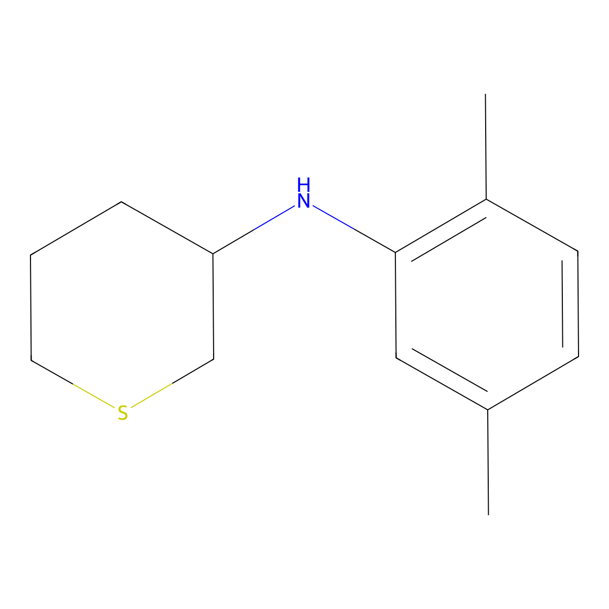N-(2,5-dimethylphenyl)thian-3-amine molecular structure, CAS 1341051-81-7
