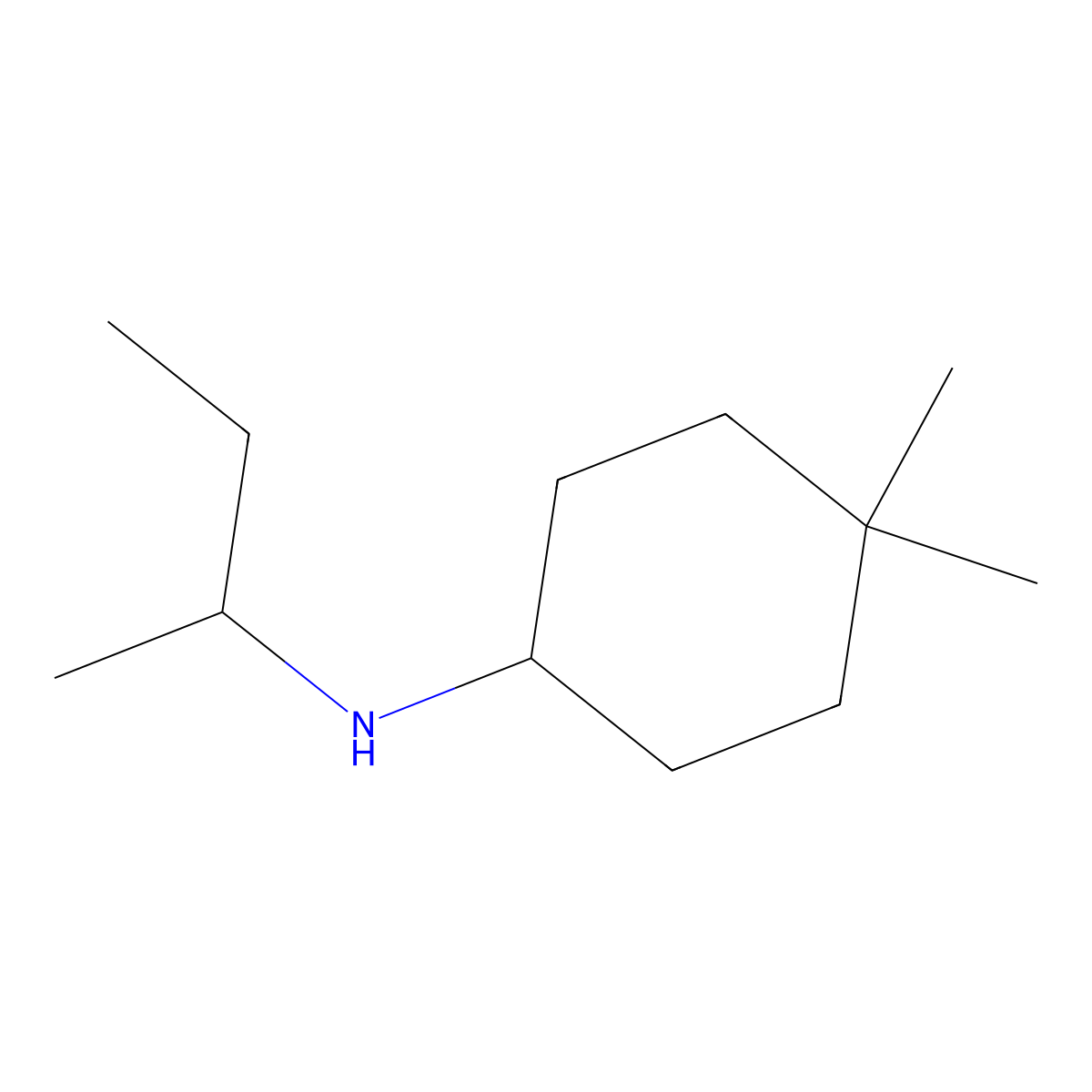 N-(butan-2-yl)-4,4-dimethylcyclohexan-1-amine molecular structure, CAS 1341331-89-2