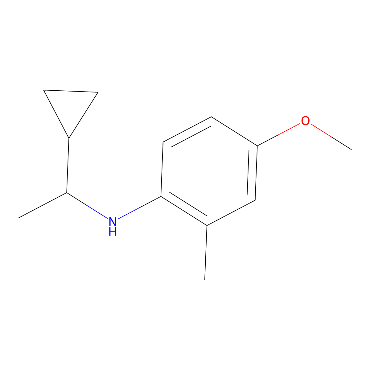 N-(1-cyclopropylethyl)-4-methoxy-2-methylaniline molecular structure, CAS 1341789-02-3