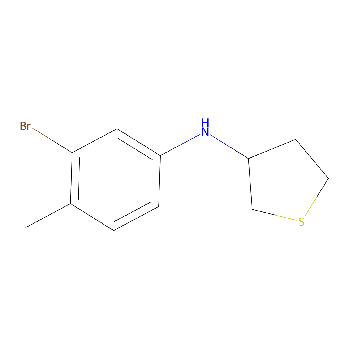 N-(3-bromo-4-methylphenyl)thiolan-3-amine molecular structure, CAS 1341906-38-4