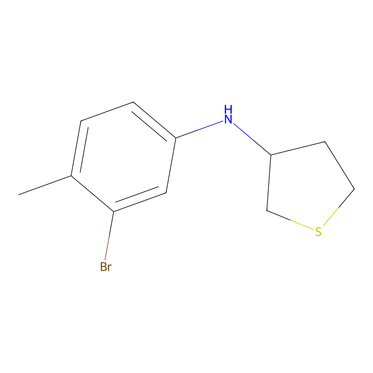 N-(3-bromo-4-methylphenyl)thiolan-3-amine molecular structure, CAS 1341906-38-4