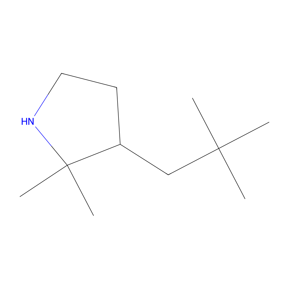 3-(2,2-Dimethylpropyl)-2,2-dimethylpyrrolidine molecular structure, CAS 1342006-48-7