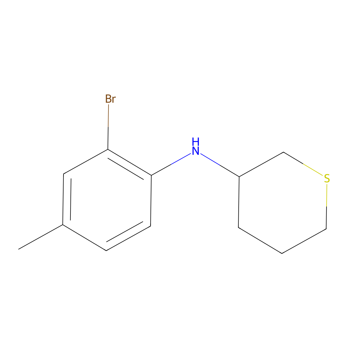 N-(2-bromo-4-methylphenyl)thian-3-amine molecular structure, CAS 1342042-45-8