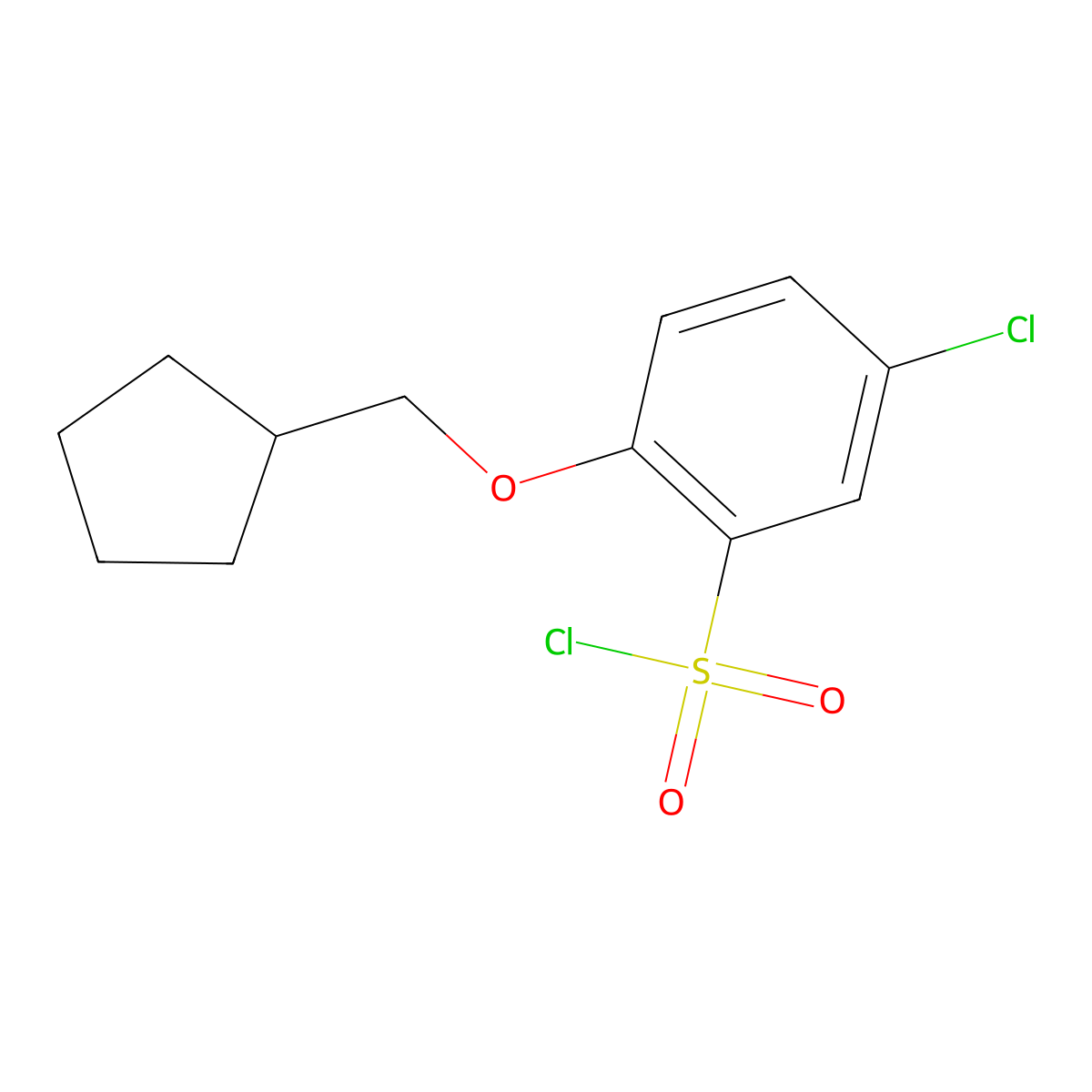 5-Chloro-2-(cyclopentylmethoxy)benzene-1-sulfonyl chloride molecular structure, CAS 1342182-33-5
