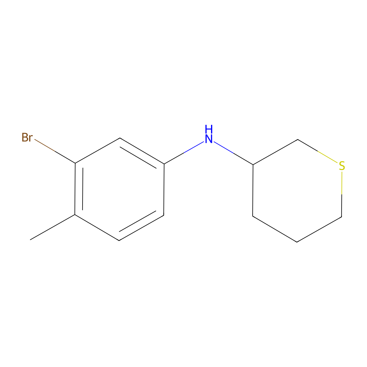N-(3-bromo-4-methylphenyl)thian-3-amine molecular structure, CAS 1342614-82-7