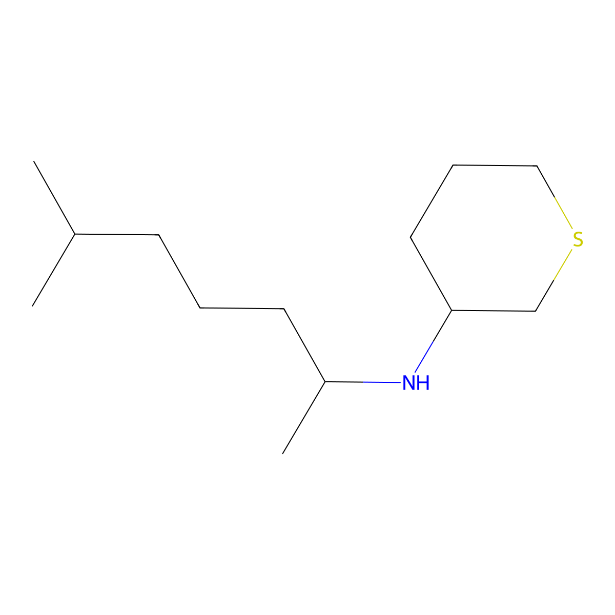 N-(6-methylheptan-2-yl)thian-3-amine molecular structure, CAS 1342619-50-4