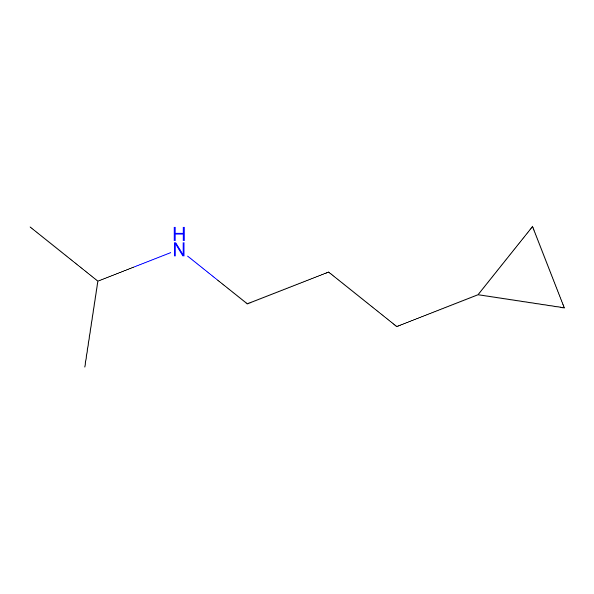 (3-Cyclopropylpropyl)(propan-2-yl)amine molecular structure, CAS 1343320-14-8